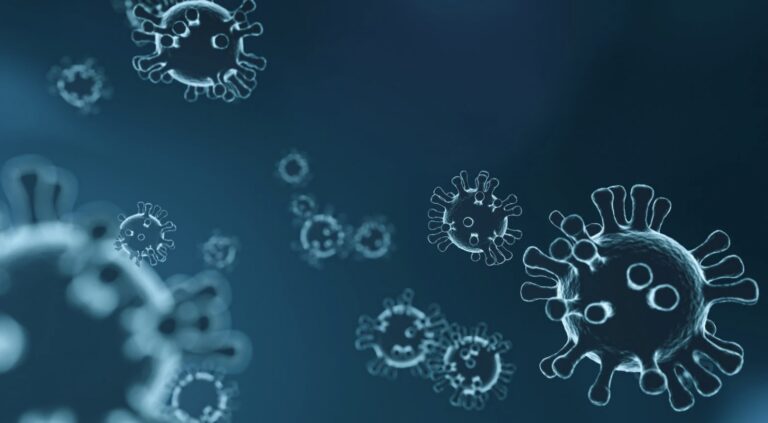 Viruses